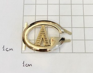 Украшение для обуви. Золото